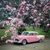 Marilyn Porter Womack's profile image