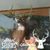 Dustin Smock's profile image