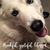 Mary Pahl's profile image