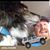 Brad Palmer's profile image