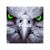 Daniel Hartzell's profile image