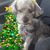 Cindy Lebron Cabalar's profile image