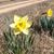 Betty Morris Wedgeworth's profile image