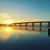 Jennifer Ellingson's profile image