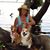 Lynette Taylor's profile image