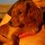 Charleen Sasse's profile image