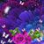 Debi Bonsall-Ohl's profile image