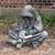 Phyllis Burks's profile image