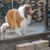 Sharon Pitman's profile image