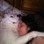 Tonya Crittenden's profile image