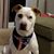 Elaine Horowitz's profile image