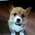 Tom A. Draeger's profile image