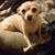 Bobby Miller's profile image