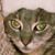 Miranda Ballou's profile image
