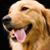 Carole S. Colella's profile image