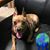 Sharon Rasmussen's profile image