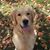 Janet Sutphen Gray's profile image