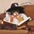 Julie Creech's profile image