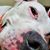 Arnold Earl Bruggeman III's profile image