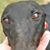 Carolyn Schwartz's profile image