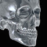 R. Edward S.'s profile image