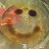 Joshua T.'s profile image