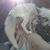 Emily Milan Green's profile image