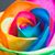 Kristen Nielander's profile image