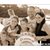 Kristine Fowler Sapp's profile image
