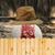 Bob Martin's profile image