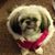 Joy Stallock Ostlund's profile image