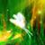 Pauline Barnes's profile image