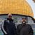 Mohammad Shalash's profile image