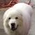 Ralph Anderson's profile image