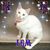 Deborah Schneider's profile image