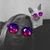 Amanda Nichole Drawdy's profile image