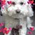 Rachel Aguero's profile image