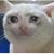 Maggie Evaline Fuller's profile image