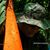 Maximo Munoz Lara's profile image