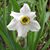 Ursula Ovitt's profile image