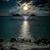 Carol Gray's profile image