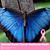 Vickie Daggett Palmer's profile image