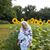 Lynn Beal's profile image