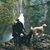 Robert Pischke's profile image