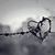 Kathy Domanski Fuhrmann's profile image