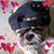 Tina Diehl's profile image