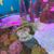 Wanda Neal Davis's profile image