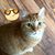 Barbara Franceschina's profile image