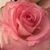 Marsha Laviage's profile image