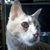 Nancy Michalski's profile image